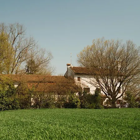 Apartment Codetta Boccatossa